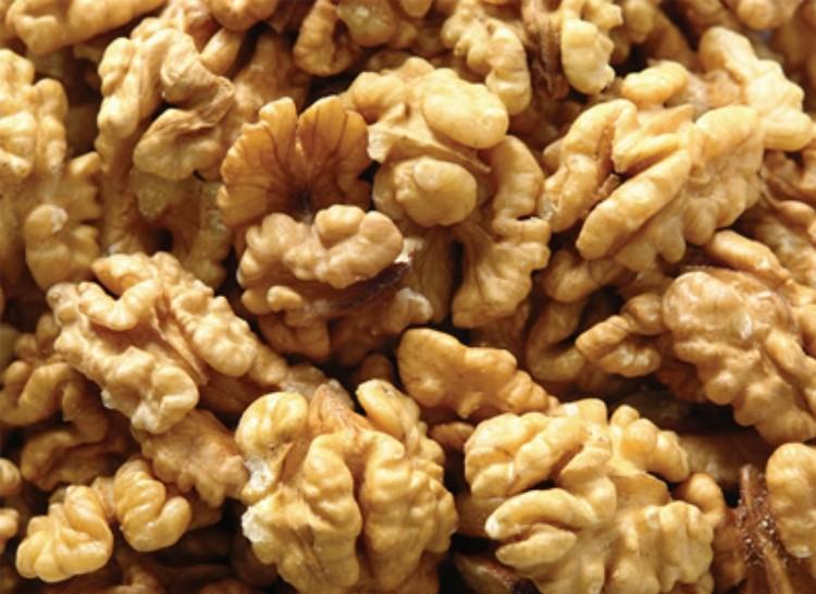 A nyelvek többségében más a dióbél etimológiai eredete. Angolul kernel, ami a magvát, lényegét jelenti valaminek. Németül ugyanúgy Kern, de a kereskedelemben inkább a többesszáma használatos (Kerne).