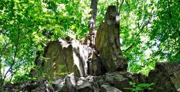 2. kép: Tavaszkunyhó feletti vetıpáncélok Forrás: Saját felvétel 2011.