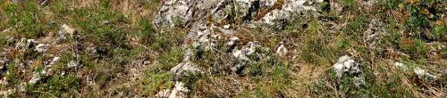 1953) A kataszter területén gyakran, s mindhárom karrtípussal találkozhatunk, hiszen a vastagpados rétegzettségő Dachstein Mészkı kiváló lehetıséget nyújt ezen formák kialakulásának.
