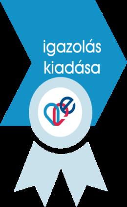 végrehajtása *