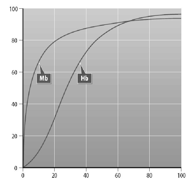 A hemoglobin és a mioglobin oxigénszaturációs görbéje Szaturáció (%) Az oxigén parciális nyomása po 2 (Hgmm) A hemoglobin fajtái 1. OxiHb (oxigenált) 2.