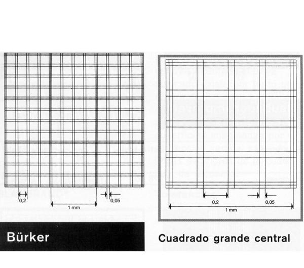 Bürker kamra, VVT és FVS számlálás, Elektronikus megoldások, CellSorter Erythropoesis omnipotens / el nem kötelezett