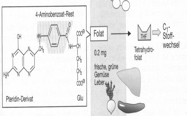 Extrinsic faktor: B 12 vitamin Intrinsic faktor: