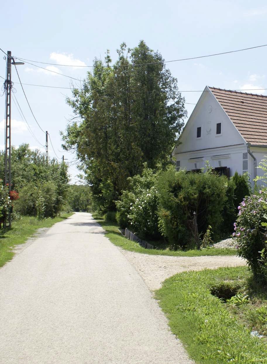 Településképi szempontból meghatározó területek 19 TÖRTÉNETILEG KIALAKULT TELEPÜLÉSRÉSZ Ispánk település legnagyobb részét a történetileg kialakult településrészhez soroltuk.