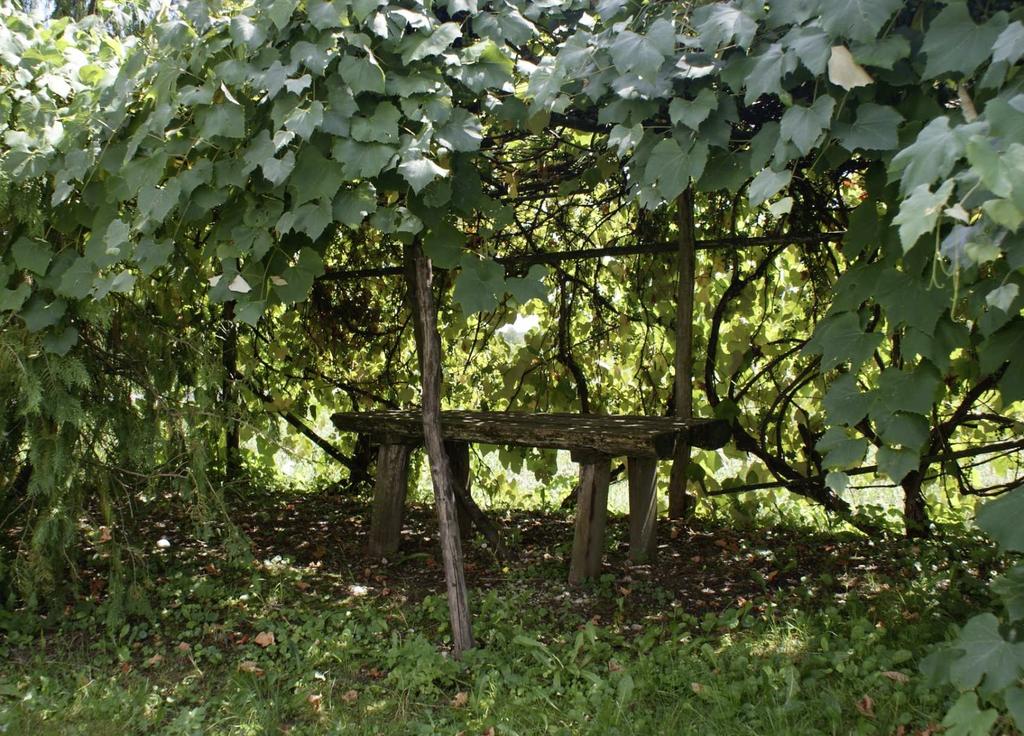 BEVEZETÉS 1 3 Az Őrségben jártam s láttam erdőterítette dombok öléből felszálló, füstként gomolygó, súlyos párafelhőt.