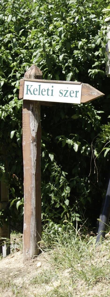 Jó példák