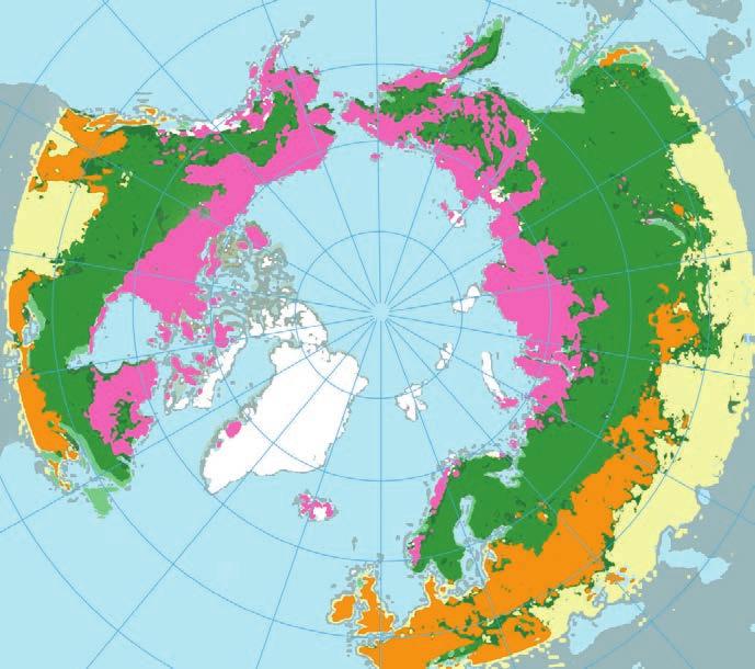 A trópustól a jégvilágig Növényzeti térkép Azonosítsd a térkép színei alapján a természetes növényzetet! Töltsd ki a táblázatot!
