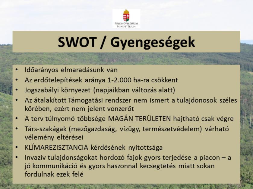 Támogatási rendszer megnövelt támogatás jó-e? Erdő művelési ágba vonás = kötelező felújítás!