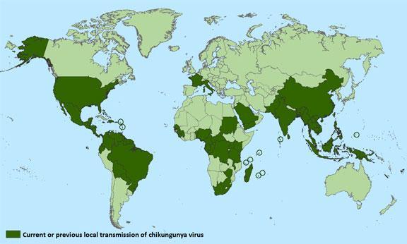 Epinfo 53 18. sz. ábra A chikungunya-láz globális előfordulása országok szerint (2015 március)* *Forrás: CDC: http://www.cdc.