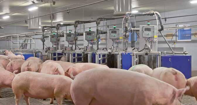 SowComp A kocaetető-rendszerünkből szívesen esznek a kocák A SowComp-Feeder speciálisan csoportosan tartott kocákra kifejlesztett etetési rendszer.