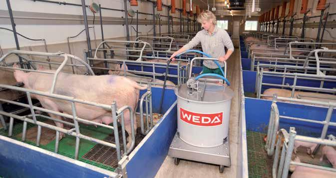 EasyFeeder A malac-takarmány keréken érkezik Az EasyFeeder az első mobil folyékony etetési rendszer a szopós malacoknak, közvetlenül a fiaztatóban.