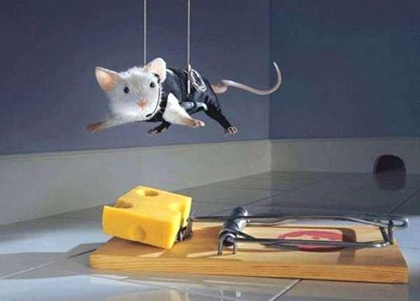 MISSION IMPOSSIBLE mi