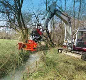 25 cm-es törzsátmérőig.