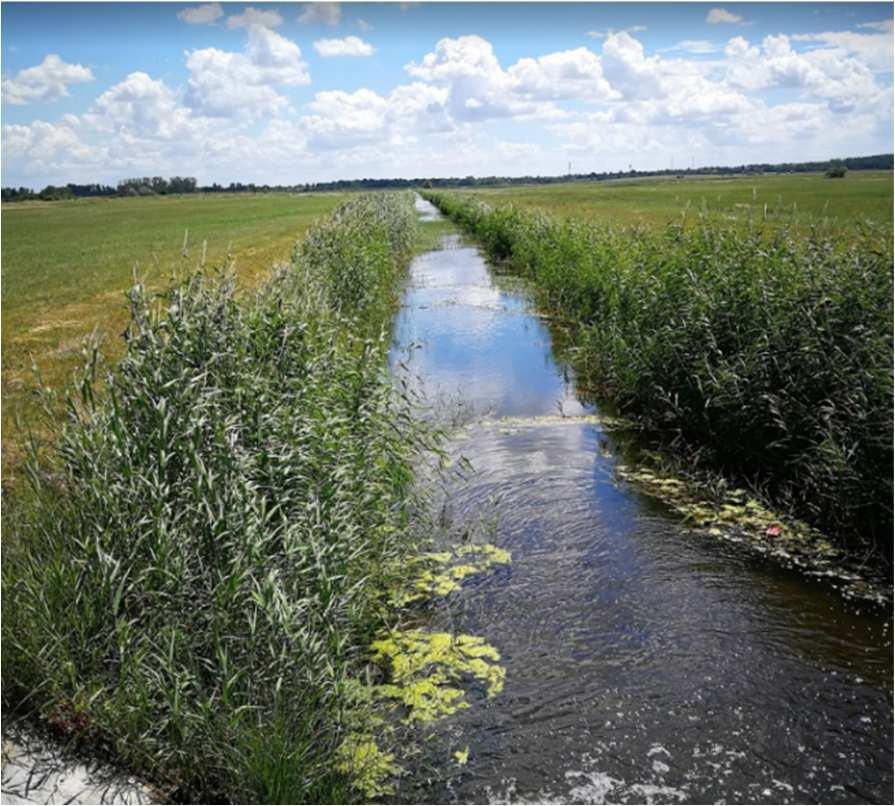 A Fertő határában működik a Pelikánház Erdei Iskola, mely kifejezetten a madármegfigyelésekre, -gyűrűzésekre specializálódott.