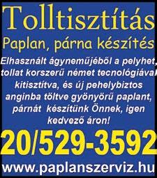 DÉL-PEST MEGYE w w w. d p m s z. h u 195 ORSZÁGBAN LESZ LÁTHATÓ A TOUR DE HONGRIE!