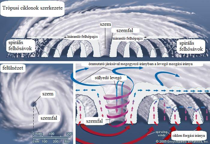 A déli féltekén az ellentétes irányú Coriolis-erő miatt a ciklonok ellentétes irányban forognak, mint az északin.