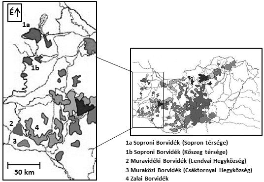 A klímaváltozásnak lehetnek pozitív és negatív hatásai, amelyek regionálisan változnak (Christidis et al., 2015).