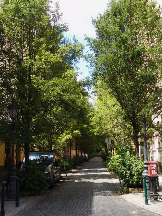 Üllői út A Kálvin tértől a főváros határáig húzódó sugárút, Budapest leghosszabb főútvonala. Az útvonalon húzódik a kerület déli határának egésze, a Kálvin tértől a Könyves Kálmán körútig.