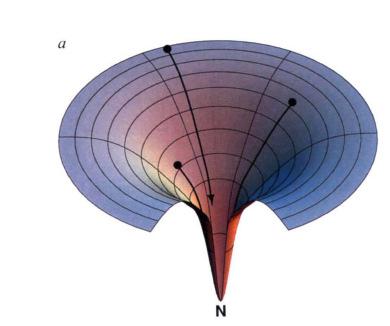 A feltekeredés tölcsér elmélete ( The Folding Funnel ) Nagyszámú, azonos valószínűséggel megvalósuló útvonal a feltekeredés során. Minden út közvetlenül a natív állapotba vezet (energetikai minimum).
