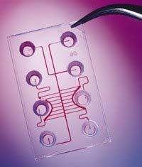 Elektroforézis papírelektroforézis gélelektroforézis kapilláris elektroforézis mikrocsip elektroforézis (lab-on-a-chip) 7 Papírelektroforézis Az 1950-es évek elején vezették be a fehérjék
