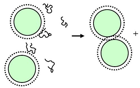 non-adsorbing polymers released solvent volume from overlapping surface layers Chains are expelled from surface layer with thickness ~R g.