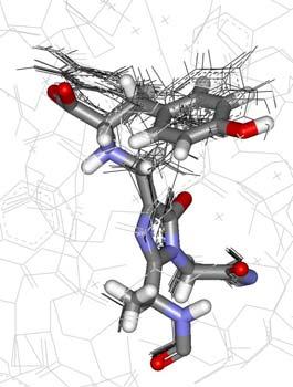 1 Konformáció analízis a TAL enzimben A kovalensen kötött reakció intermedierek szisztematikus konformáció analízisét (KA) a Rhodosporidium toruloides TAL (RsTAL) 2O7B kristályszerkezetében végeztük,