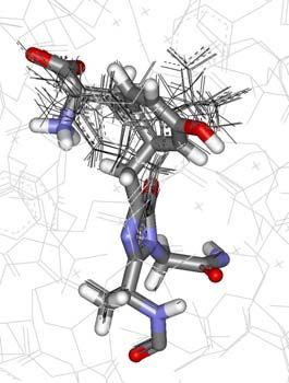 Az RsTAL/(E)-kumarát (2O7B) szerkezetben az (E)-kumarátot a PI ligandummal (2O7E) helyettesítettük és a PI C 1 atomja körül egy 15 Å átmérőjű gömböt vágtunk ki, mely a KA, valamint a QM/MM számítások