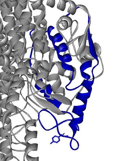 Eredmények 63 A B E tetramer = -149164 kj/mol E tetramer = -149802 kj/mol 1W27 1W27 mod 21. Ábra.