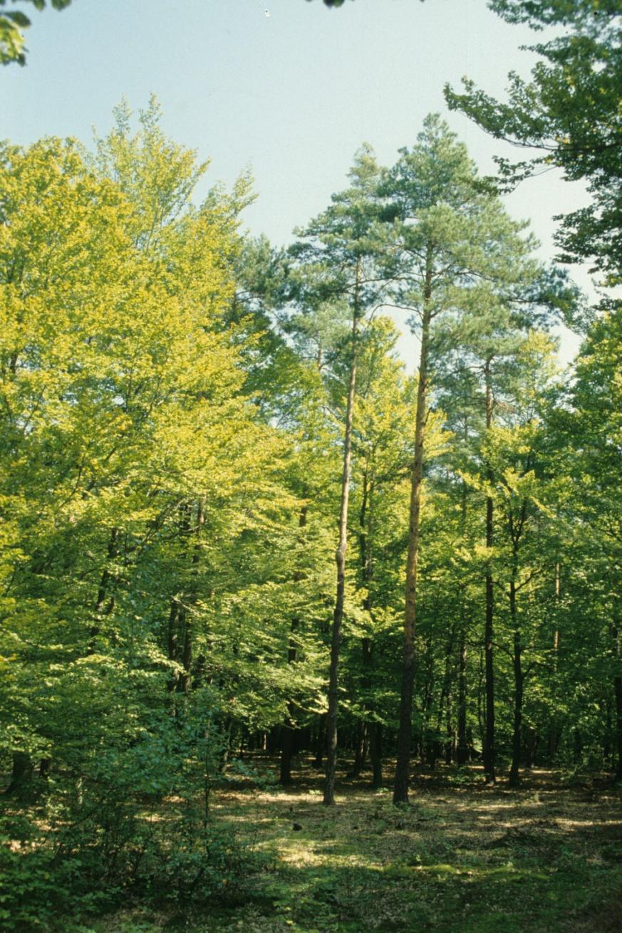 3. ábra 4.