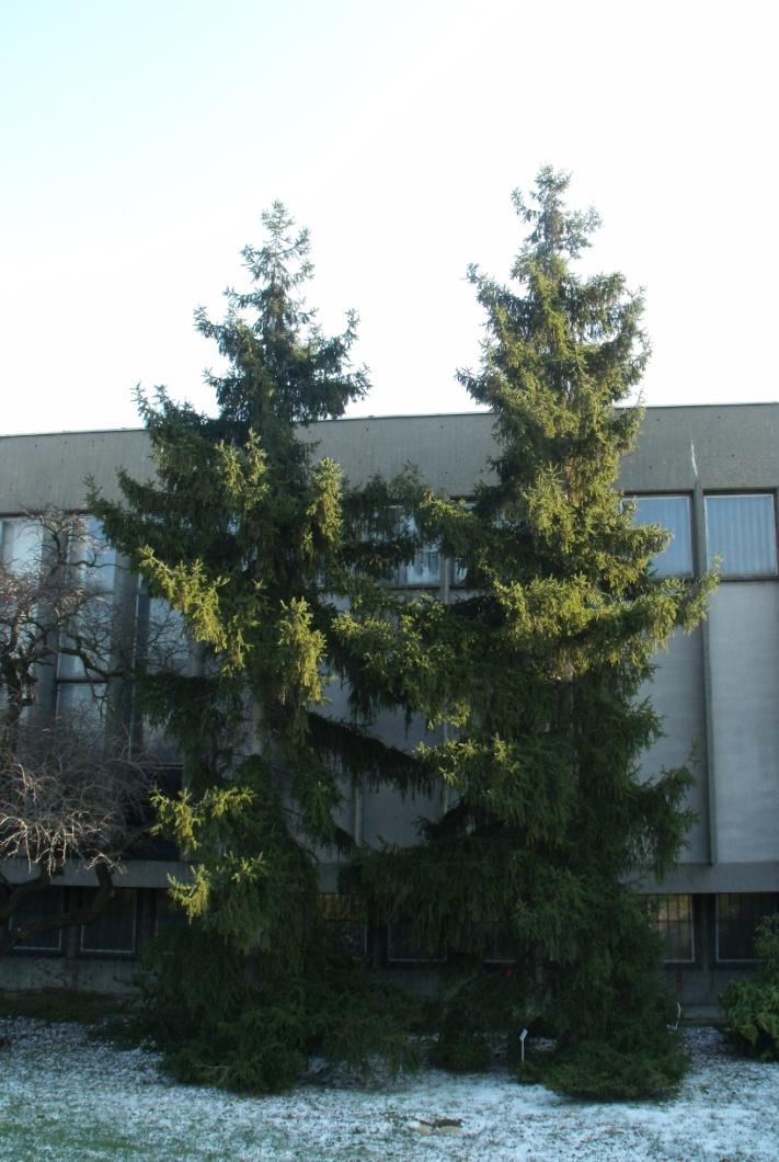 6.ábra
