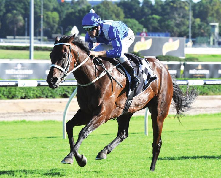 Nemzetközi galopp Nálunk ugyan pihenő van, de néhány helyen nem csak hogy csordogál a galopp, hanem valósággal dübörög. Ez igaz Ausztráliára, Dubaira, és a február 12-én rajtoló svájci White Turfra.