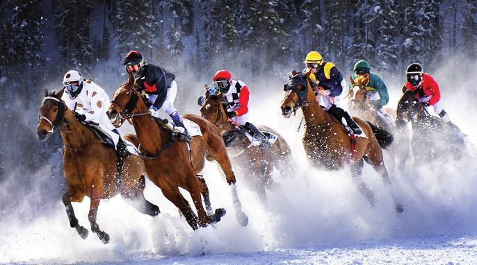 Az egykori Derby helyezett az 1800 méteres Grosser Preis Longines futamában lépett pályára, nyergében Michael Cadeddu-val. A hatéves Dr.
