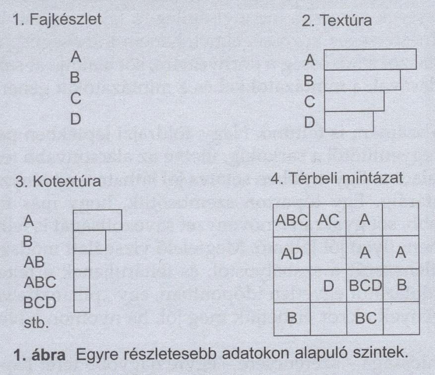 Kotextúra Milyen fajkombinációk valósulnak meg a közösségben és milyen mennyiségben Olyan mennyiségi eloszlás, ahol a kategóriák nem a fajok, hanem a megvalósuló fajkombinációk a felmért kvadrátokban