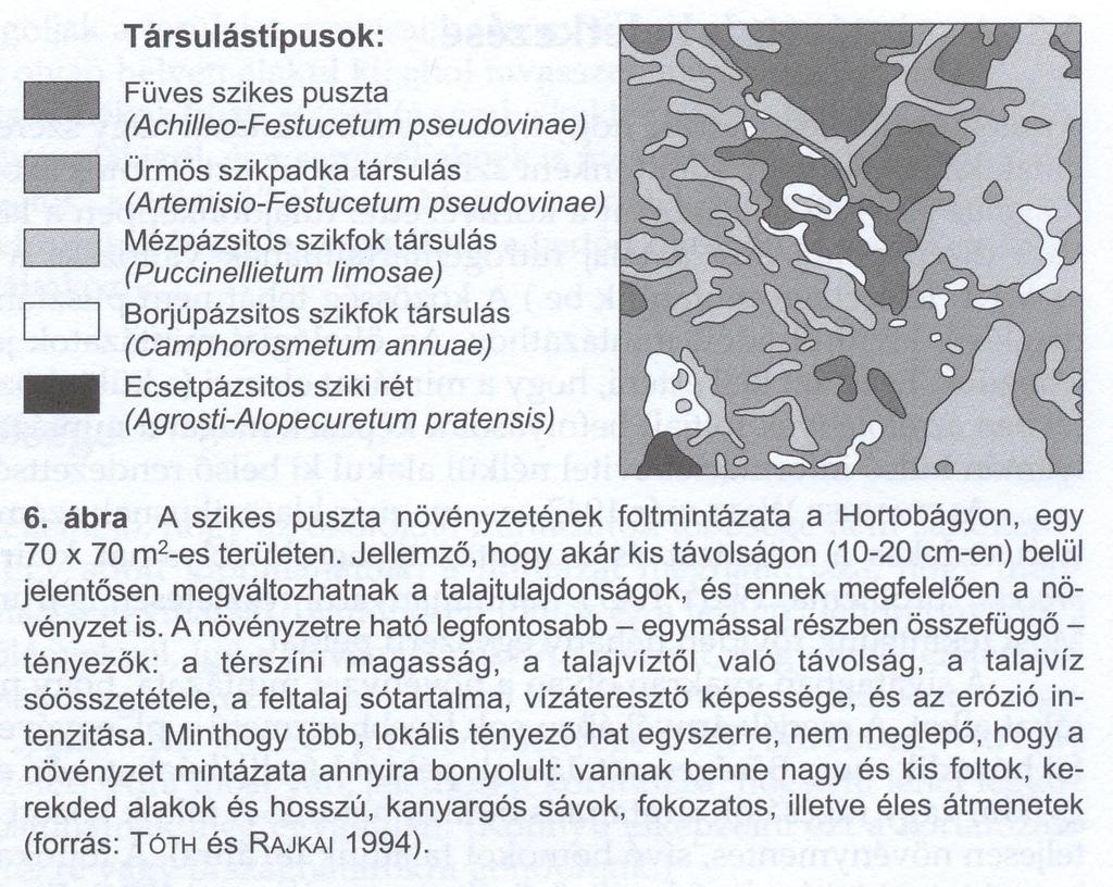 Ökológiai sokféleség