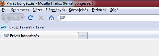 A program bezárásakor törlődnek a cookie-k, az előzmények közé sem