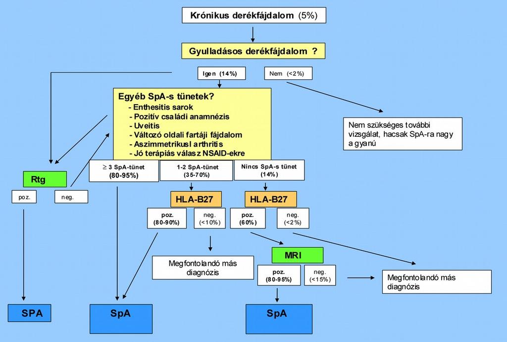 Az axiális spondyloarthritis diagnosztikai algoritmusa A százalékok a valószínűség