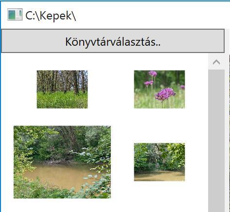 Johanyák Zsolt Csaba: Vizuális programozás 111. ábra.