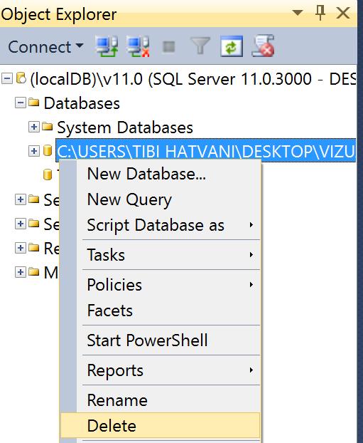 Johanyák Zsolt Csaba: Vizuális programozás Microsoft SQL Management