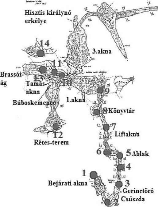 3. ábra.