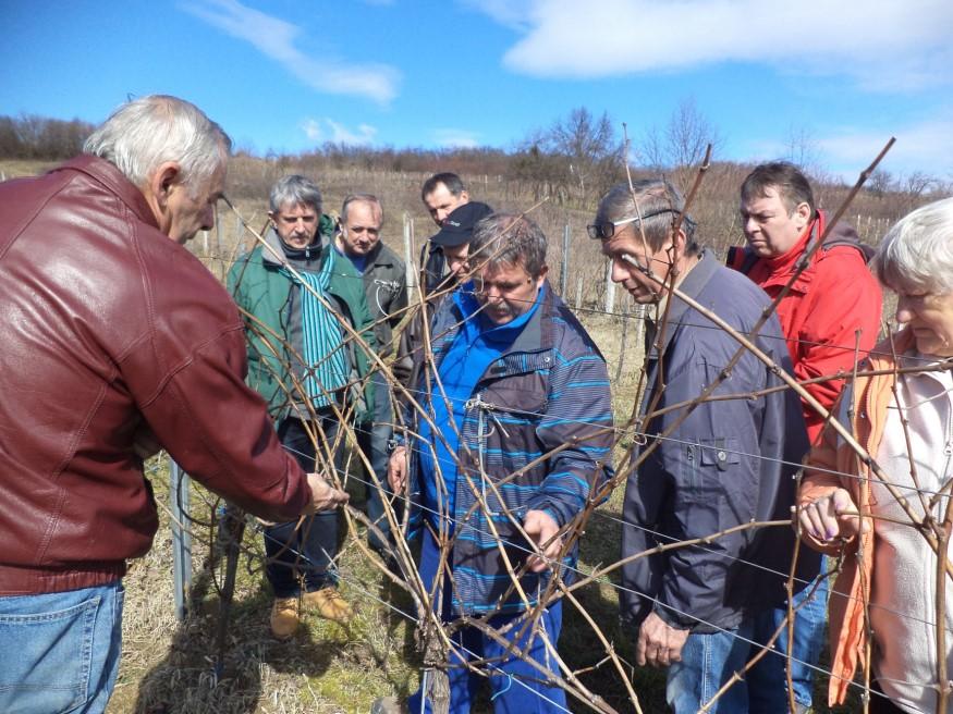 HARMÓNIA ÉLETMÓD KLUB Tavaszi programjainkat Matiz Ivett