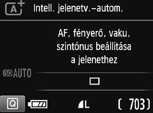 Váltás az LCD-kijelzőn megjelenő képernyők között Az LCD-kijelzőn megjeleníthető a felvételkészítési beállításokat tartalmazó képernyő, a menüképernyő, a rögzített képek stb.