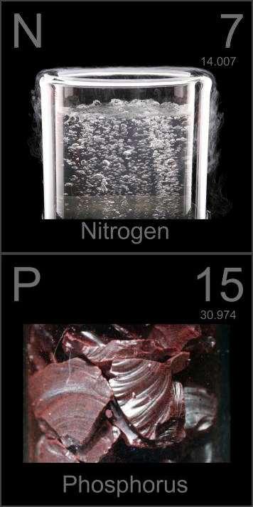 Nitrogén és foszfor s 2 p 3 -elektronszerkezet N: gáz, P: szilárd elektronegativitásuk nagy P: 3 módosulata van,