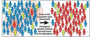 National Institute of Allergy and Infectious Diseases Beteg, nem immunizált és fertőző Populációs vagy nyáj immunitás (protektivitás) Az