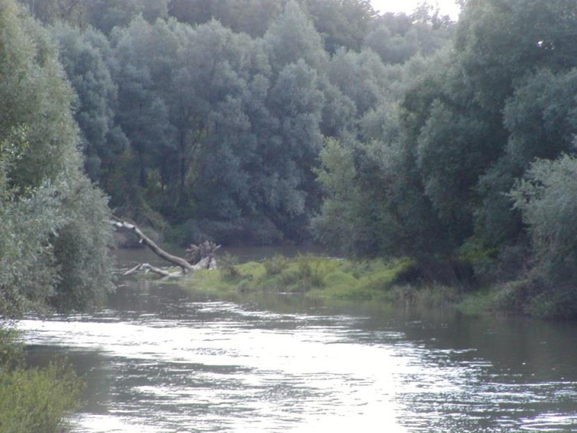 menti galériaerdő Köszönet az AGRARKLIMA.