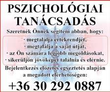 problémáinak új, más szempontú meglátását helyezi előtérbe.
