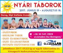 Középpontjában az aktuális élethelyzeti probléma áll, amelynek megoldásán a jelenre összpontosítva, tudatos szinten dolgozik a