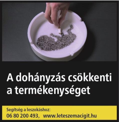 Ö Z L Ö N