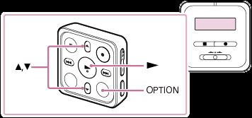 A OPTION menü használata Megjelenítheti a OPTION menüt az OPTION lenyomásával a távvezérlőn. Az OPTION menüelemek a diktafon kiválasztott funkciójától függően változhatnak.