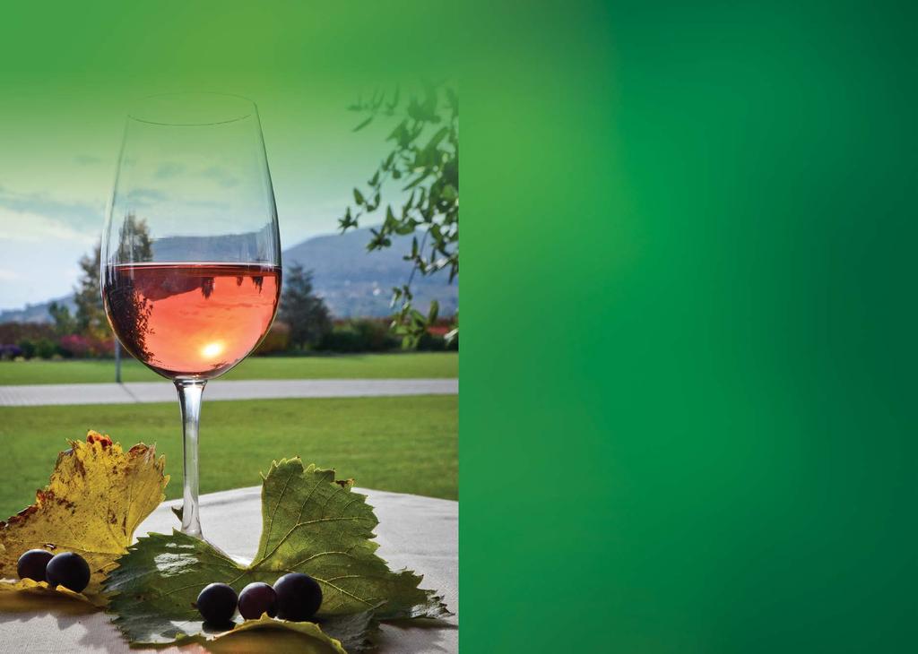 4 5 ÖSSZEFOGÁS A SZŐLÉSZEKKEL ÉS BORÁSZOKKAL Magyarország Kormánya 2010 óta kiemelt figyelmet fordít a hazai szőlő-bor ágazat erősítésére.