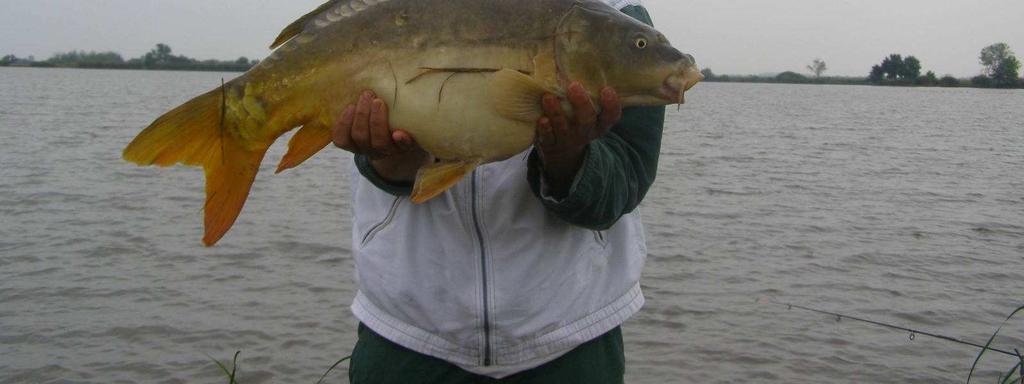 Hortobágy